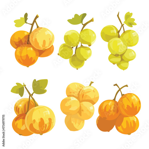 Botrytis silhouette illustration of fungal spores and hyphae isolated on white background