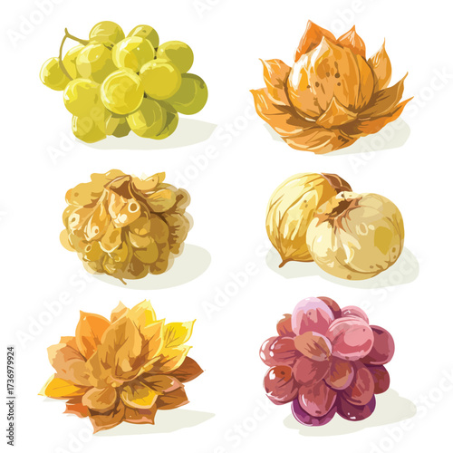 Botrytis fungal spore illustration silhouette isolated on white background for scientific and educational use
