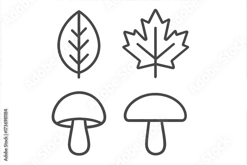 Autumn leaf and mushroom icon set. Minimalist outline symbols. Includes maple leaf. Vector line art. Concepts: fall, forest, nature, organic, eco, fungus, foliage, plant design.