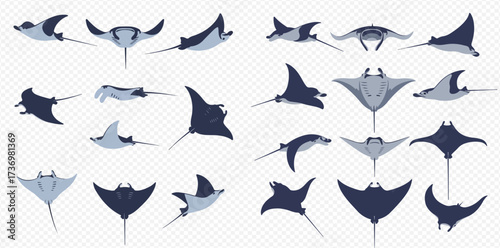Vector illustrations of diverse manta rays and stingrays in various swimming poses on a transparent background.