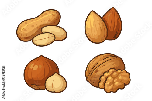 Cartoon style nut icon set, realistic peanut, almond, hazelnut, walnut, vector illustration, healthy snack food, protein source, assorted hand drawn whole and shelled nuts, transparent background