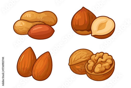 Assorted nuts vector illustration set. Realistic cartoon style peanuts, hazelnuts, almonds, walnuts. Hand-drawn nut icons collection. Healthy snack food. Isolated transparent background clipart.