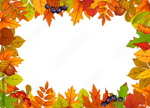 Autumn fall leaves, acorns and berries frame for seasonal holiday, vector banner. Autumn background with fall leaves frame, maple foliage and oak tree acorns, black rowanberry or fall berries harvest
