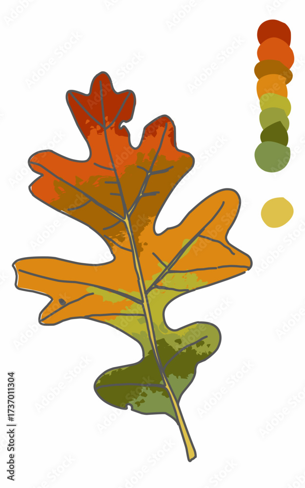 Fototapeta premium Autumn oak leaf with Gradient color and color palette on a white background, vector illustration