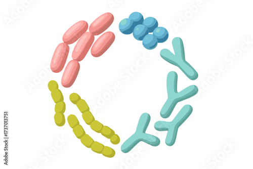 Probiotic bacteria types set. 3D render collection in circle shape. Good microbiota with healthy prebiotic bacillus, lactobacillus, streptococcus, bifidobacteria. Gut flora.