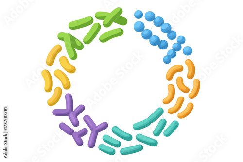 Probiotic bacteria types 3D render set in circle shape. Good microbiota with healthy prebiotic bacillus, lactobacillus, streptococcus, bifidobacteria and other microflora.