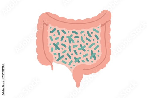 Gut health concept with good bacteria and probiotics. Digestive system, intestine with healthy microbiome flora. Flat vector cartoon illustration of an internal organ. Digestion aid.