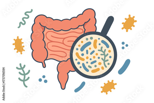 Gut microbiome concept. Human intestine microbiota with healthy probiotic bacteria. Digestive system research with magnifying glass. Gut flora and digestion health analysis vector.