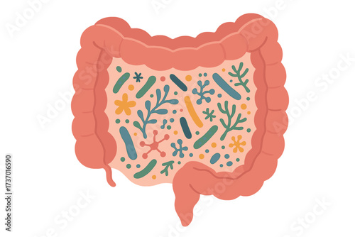 Gut microbiome concept. Human intestine with microbiota and healthy probiotic bacteria. Flat abstract medicine illustration of microbiology, digestion, flora, and gut health.