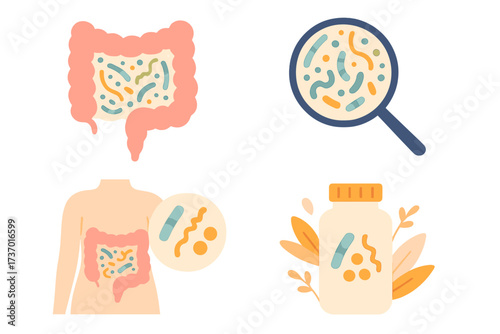 Gut flora and microbiome health. Human intestine with probiotic bacteria. Digestive system analysis. Microbiology research with magnifying glass. Probiotics supplement bottle icon set.