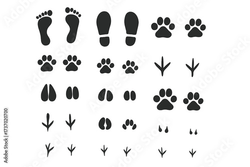Vector illustration of 3D textured set of diverse animal and human footprints with bird tracks, hoof prints, and paw prints in black silhouette style on transparent background