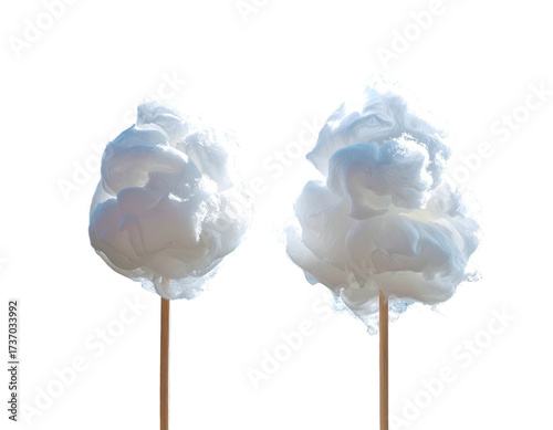 Two fluffy cotton candy clouds on sticks