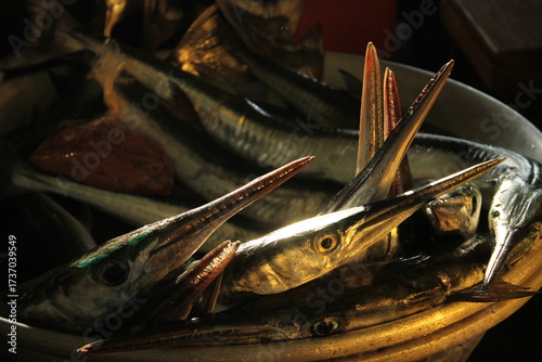 Peces espada Centroamérica Océano Pacífico 
