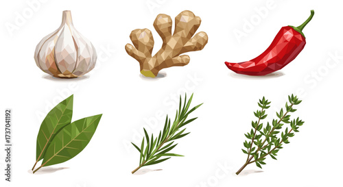 Vector art of collection of fresh herbs and spices including garlic, ginger, chili, bay leaf, rosemary, and thyme
