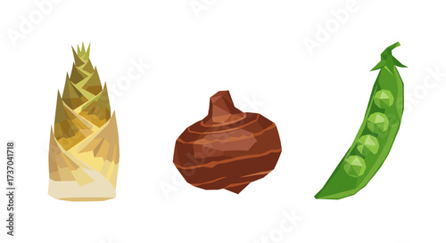 Vector art of collection of fresh vegetables including bamboo shoot, taro root, and pea pod