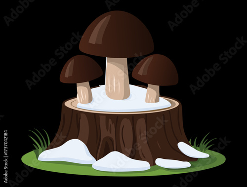 Bold Dark Brown Fungi Clustered on a Tree Stump Against a Deep Black Snowy Background Illustration	