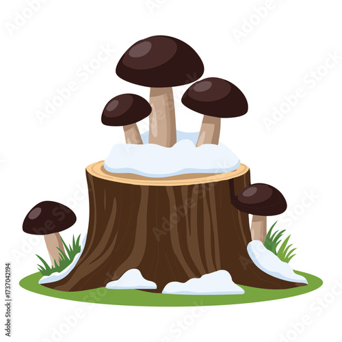 Earthy Brown and White Fungi Clustered on a Tree Stump in a Snowy Landscape Natural Illustration	