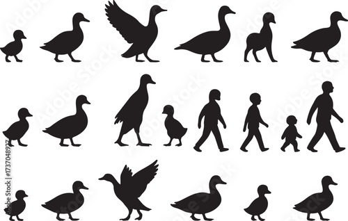 Duck Silhouette Collection: A charming array of duck silhouettes gracefully depicted against a minimalist backdrop. This image celebrates the elegance of the waterfowl in motion.