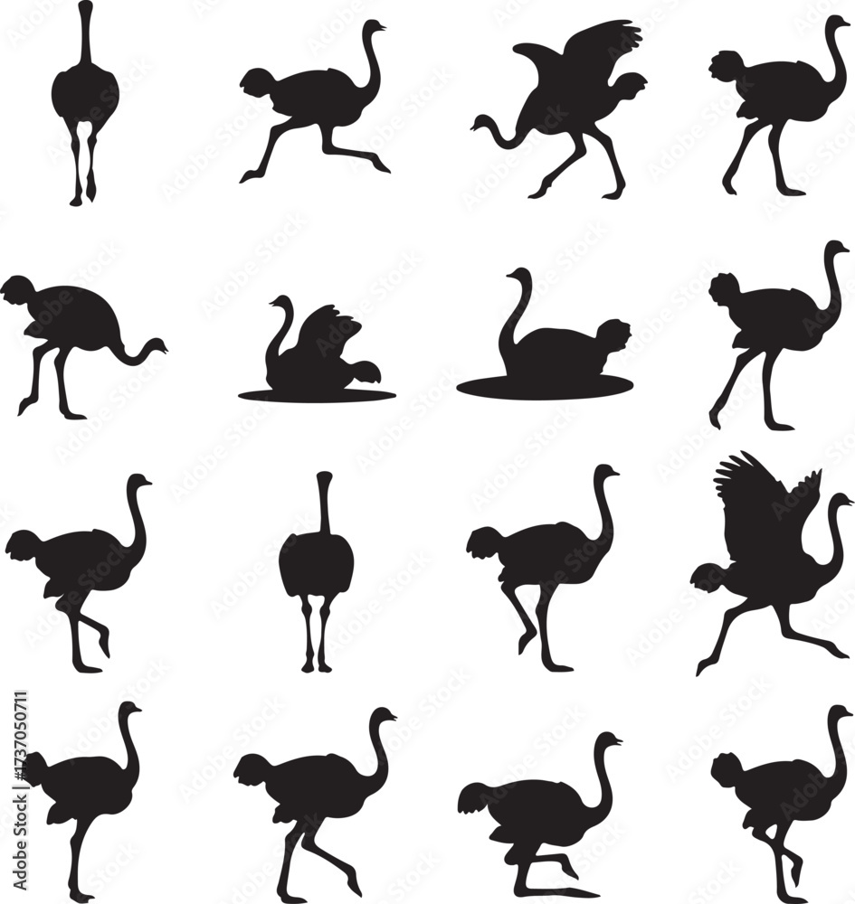 Obraz premium Ostrich Silhouette Collection: A stark black and white collection of dynamic silhouettes of an ostrich, showcasing various poses and movements, offering a study in form and motion.