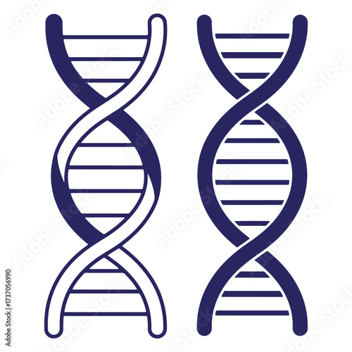 Two stylized illustrations of dna double helix molecules against a white background.