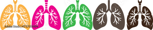 Colorful human lungs illustration showing respiratory system and bronchial structure, symbolizing health, medicine, biology, anatomy, breathing, and medical education concept design.