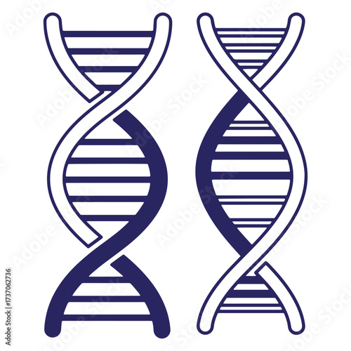 Vector illustration of two detailed dna strands in blue and white isolated on white background
