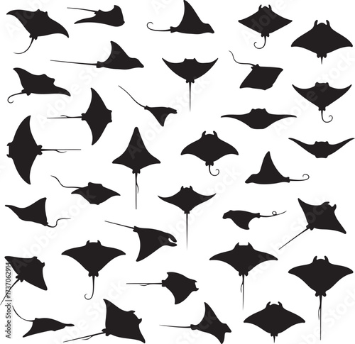 Silhouette Ballet: An artistic silhouette composition showcases the grace and diversity of ray in a dark sea, perfect for aquatic, marine, and ocean-themed creative endeavors.