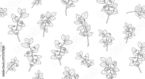 Delicate hand drawn botanical illustration of small flowering branches in a repeating pattern.