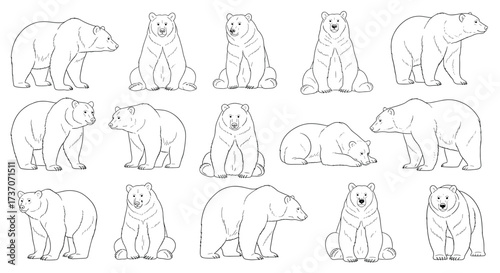 Collection of stylized polar bear illustrations in various poses showcasing their arctic habitat.