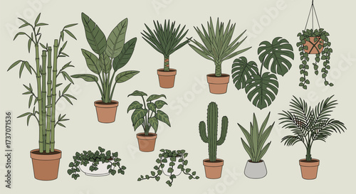 Collection of potted houseplants and succulents in various shapes and sizes.