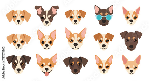 A collection of diverse dog faces showing various breeds and expressions.