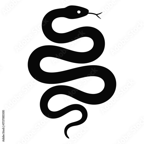 snake vector illustration
