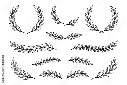 Hand drawn laurel wreath set. Vintage floral ornament and decorative dividers. Vector collection of victory wreaths, greek branches, and leaf elements for certificates or awards.