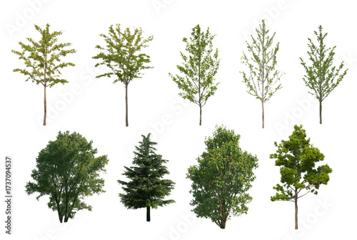 front View Vector Icons of Trees and Plants for Floor Plan and Architectural Design Projects