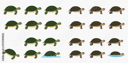 A grid illustration of cartoon turtles, showing two distinct color variations, with some partially submerged in water.