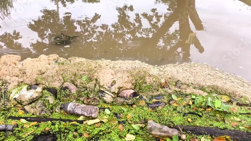 Garbage and  Weeds in the river, Chiangmai Thailand.