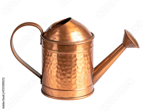 Miniature copper watering can