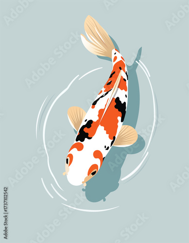 Colorful Japanese Koi Fish Vector Illustration