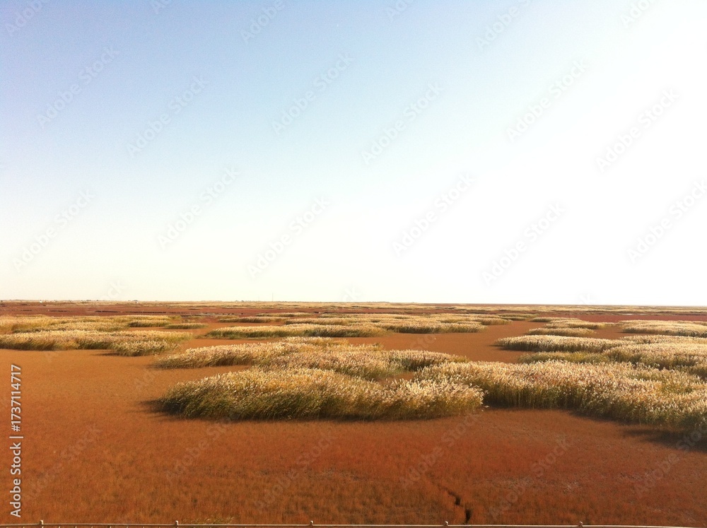 Obraz premium Vacation Beach Background