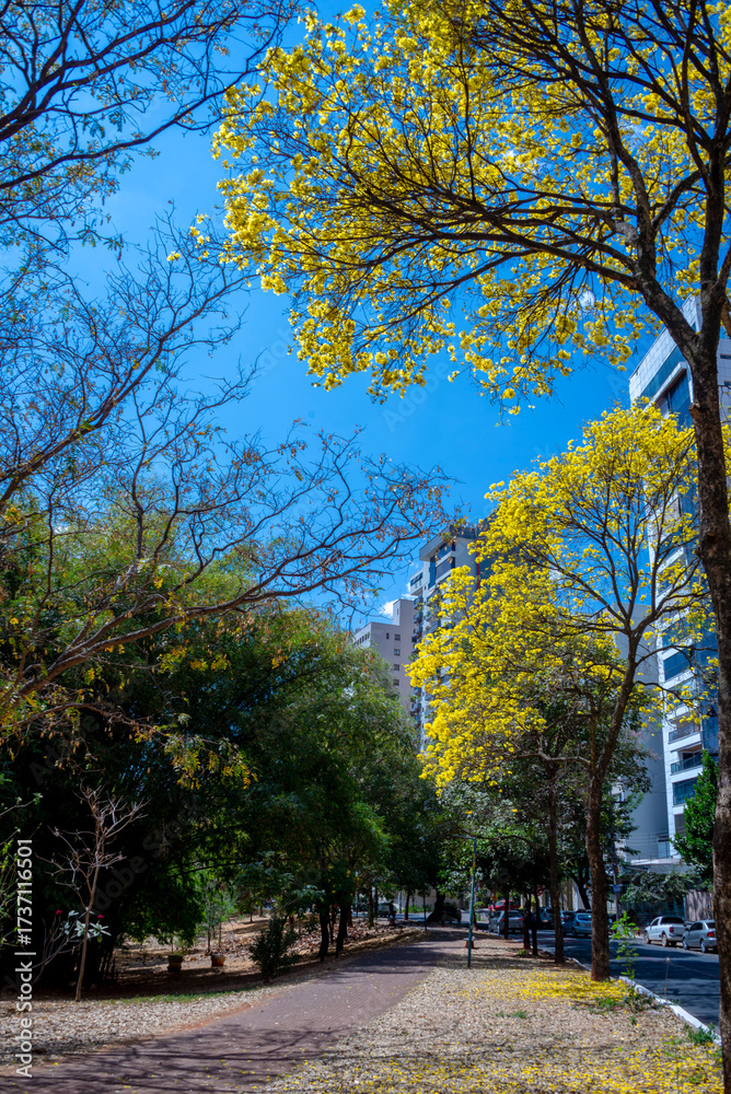 Naklejka premium View of 'Alameda das Rosas ' in Goiania, Brazil