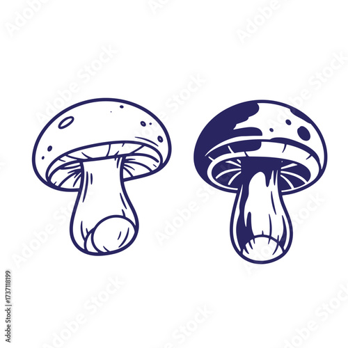 Vector illustration of two detailed mushrooms in outlined style isolated on white background