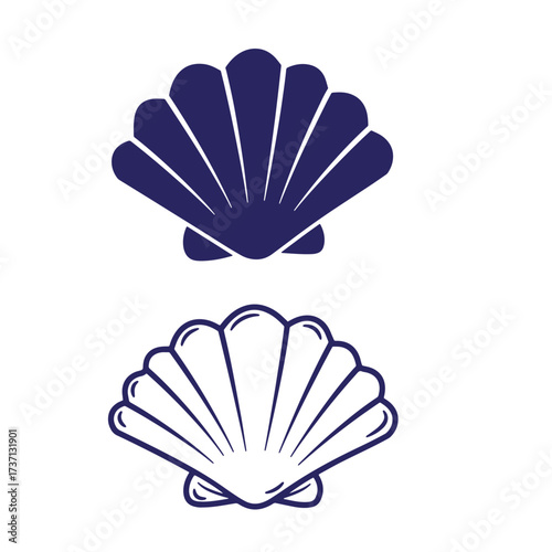 Simplified graphic illustrations of two detailed seashells isolated on a pure white background