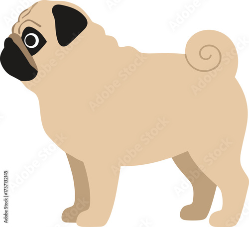 Simple Flat Illustration of a Tan and Black Mops Dog Standing