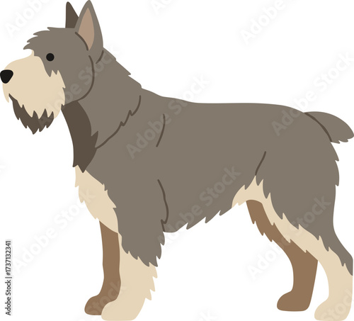 Simple Flat Style Schnauzer Dog Breed Illustration in Standing Pose