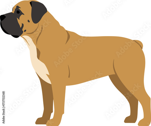 Flat Style Detailed Bullmastiff Dog Breed Standing Profile Illustration