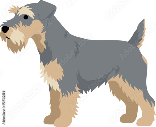 Minimalist Flat Illustration of Welsh Terrier Breed Standing Pose Animal