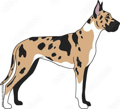 Flat Style Standing Great Dane Breed Dog Animal Character Illustration