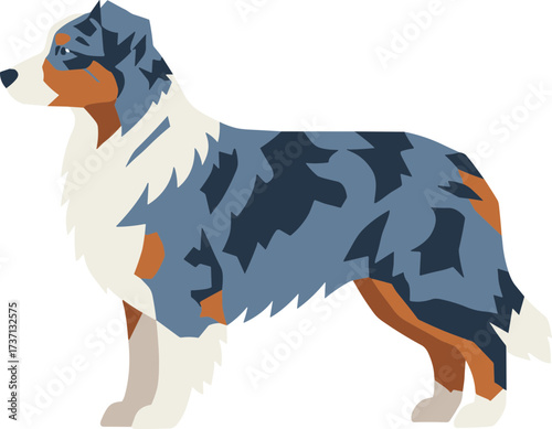 Simple Flat Design of Australian Shepherd Standing Still Animal Illustration