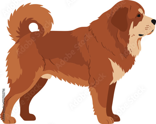 Detailed Flat Illustration of a Brown Tibetan Mastiff Dog Breed