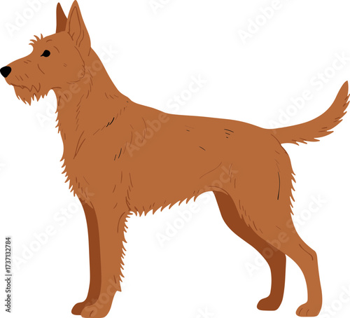 Simple Flat Illustration Irish Terrier Dog Breed Standing Profile View